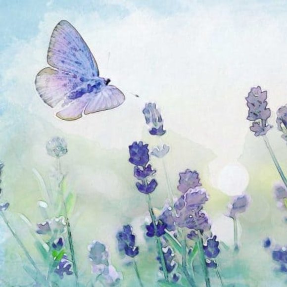 Meet your Posher, Emily - Picture 1 of 1